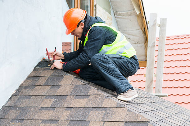 Best Roof Gutter Cleaning  in St Henry, OH